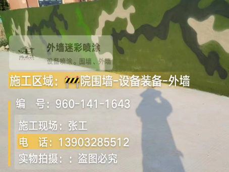 潼南 迷彩漆喷涂价格（按平方米计费）